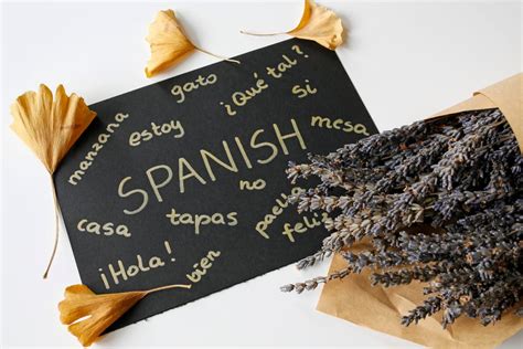 planning traduccion|planning in spanish translation.